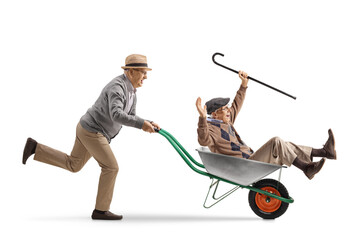 Crazy senior men running and riding in a wheelbarrow