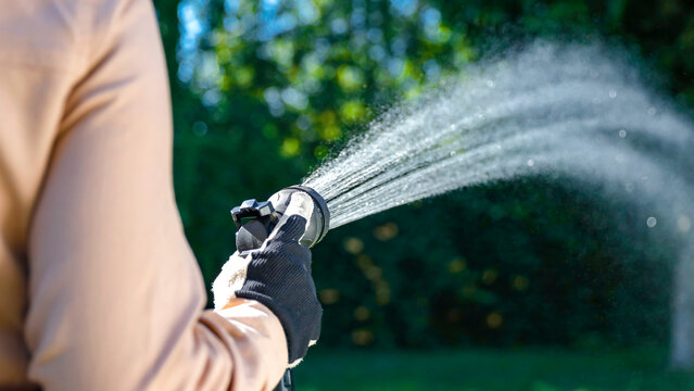 Close up of woman in gardening overalls with garden hose with visible stream of water flowing and garden background. Outdoor plant care concept.