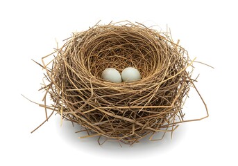 Birds nest with two eggs a close up view