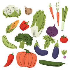 Colorful flat illustration of assorted vegetables including pumpkin, broccoli, eggplant, carrots, lettuce, and more. Perfect for farm to table, healthy eating, and seasonal food designs. Vector