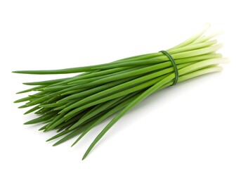 Fresh green onion bunch isolated