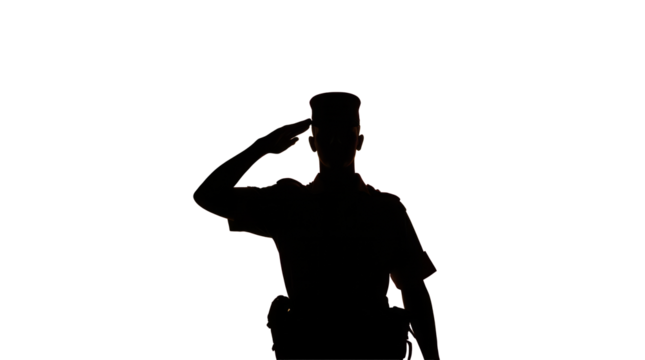 Honor and Service - A Soldier’s Salute