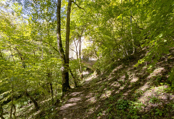 Obraz premium the source of the river in the wild, a walk along the riverbed with an overview of the canyon of the river and the shallow riverbed