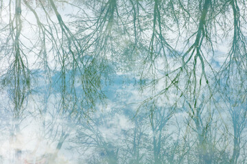 Abstract water reflection background with trees and a blue sky with clouds reflected in the water. 