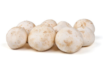 Fototapeta premium White champignons mushrooms, isolated on white background.
