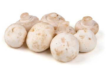 White champignons mushrooms, isolated on white background.