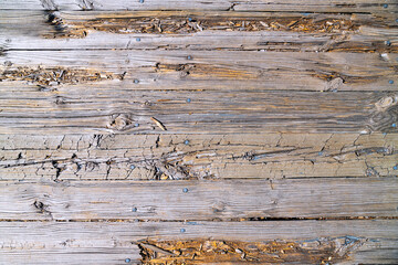 Old weathered wood surface with large irregularities and signs of rot.