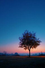 Fototapeta premium Solitary Tree at Dawn Sunrise Landscape