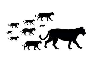 Silhouettes of Panther Family Members in a Group, Black Panther Silhouettes in Different Poses, panther, big cat, cat, jaguar, leopard, cheetah, tiger, graphic design, wild animal, illustration, vecto