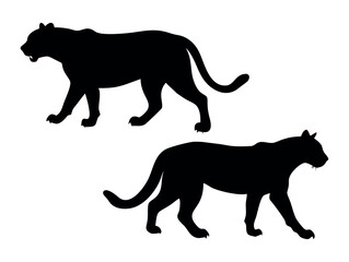 Silhouettes of Panther Family Members in a Group, Black Panther Silhouettes in Different Poses, panther, big cat, cat, jaguar, leopard, cheetah, tiger, graphic design, wild animal, illustration, vecto