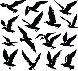Fototapeta premium Set of seagull silhouette vectors