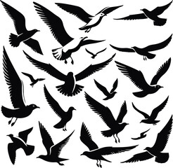 Set of seagull silhouette vectors