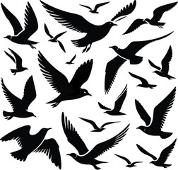 Set of seagull silhouette vectors