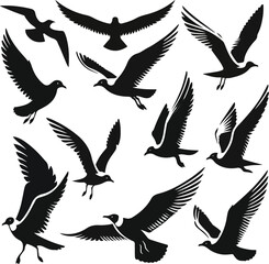 Set of seagull silhouette vectors