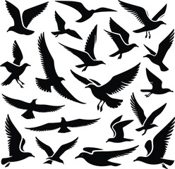 Set of seagull silhouette vectors