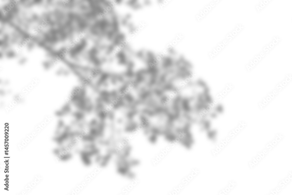 Poster Leaf shadow overlay effect mock up with soft blurred edges creates natural and realistic look for design presentations or backgrounds in calm and subtle style