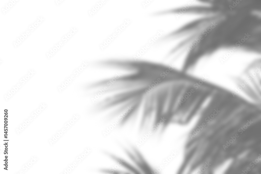 Poster Leaf shadow overlay effect mock up with soft natural light creating realistic and elegant presentation for design projects or backgrounds