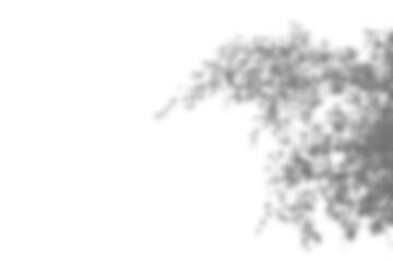 Leaf shadow overlay effect mock up creates natural and artistic look for your design with soft edges and realistic light play perfect for creative backgrounds or presentations