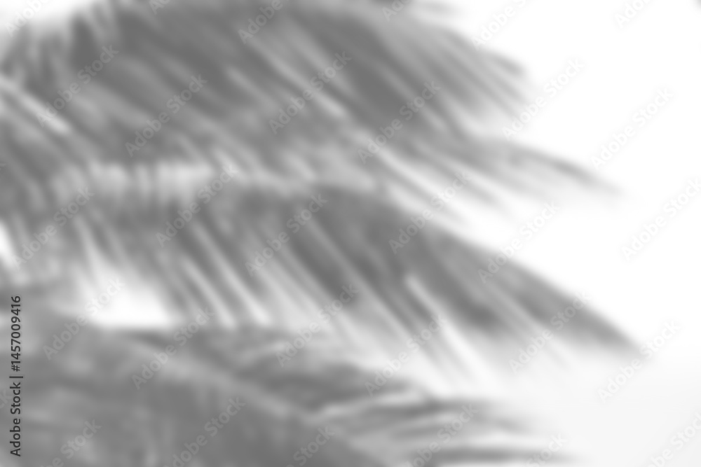 Poster Leaf shadow overlay effect mock up creates natural and soft background for design presentations with realistic leaf shapes and gentle light for calming visual effect