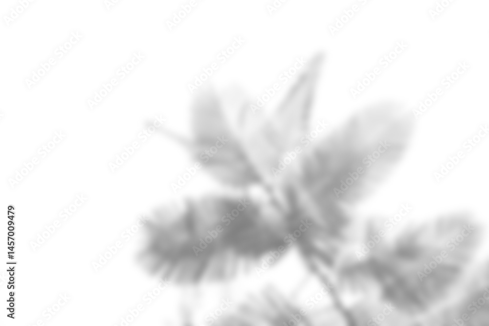 Poster leaf shadow overlay effect mock up creates soft natural atmosphere perfect for design presentations 