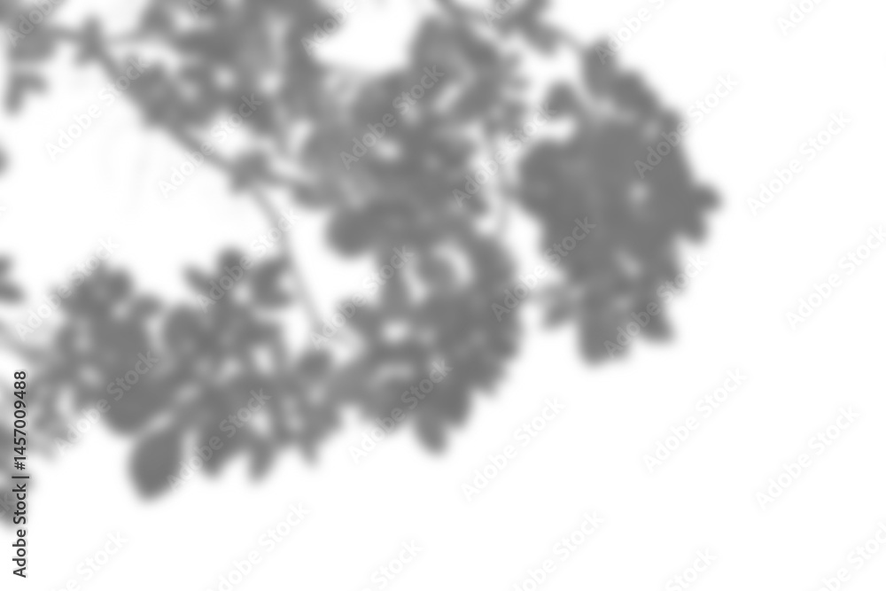 Poster Leaf shadow overlay effect mock up creates soft natural look with blurred edges perfect for design presentations or background enhancement in creative projects