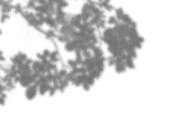 Leaf shadow overlay effect mock up creates soft natural look with blurred edges perfect for design presentations or background enhancement in creative projects