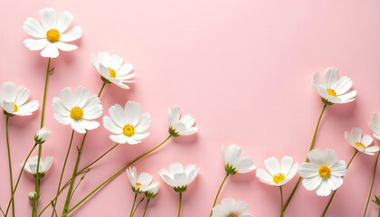 illustration of white jasmine flowers scattered on a pink background