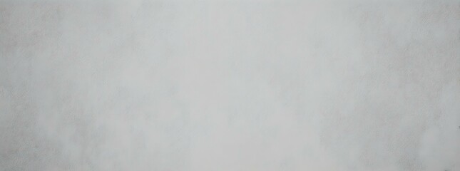 Fototapeta premium Plain Light Gray Background Texture
