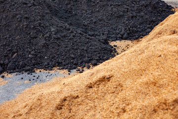 Soil and rice stalks for cultivation. Top view of fertile soil in the garden. Background texture.