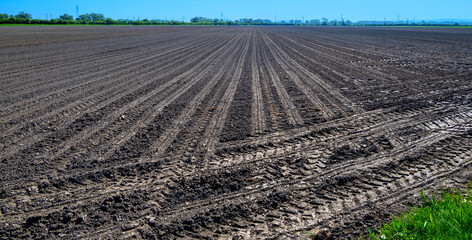 Empty field with dark soil and tractor tire tracks stretching to the horizon in Tullnerfeld in spring sunshine, Austria