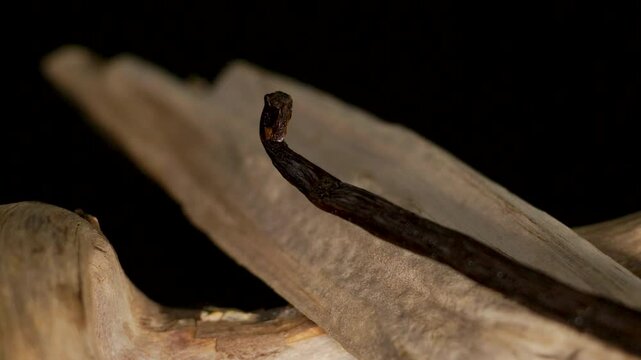 Gousse de vanille pos&eacute;e sur du bois, plan fixe avec variations de lumi&egrave;re