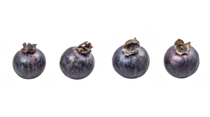 Four aligned damson plums displaying their deep purple skins and unique dried calyx, natural food ingredients, on a transparent background, PNG image, PNG file.