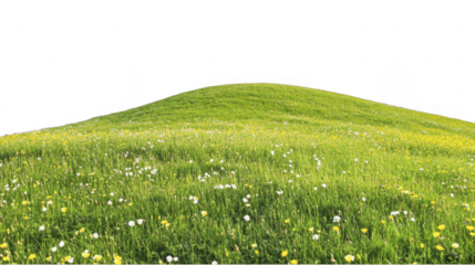 Rolling green meadow covered with wildflowers, grassy hillside with floral accents, vibrant color and detail, on a transparent background, PNG image, PNG file.