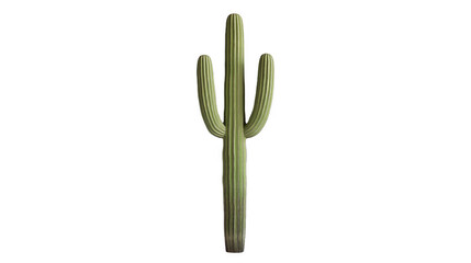 Majestic saguaro cactus featuring three prominent arms and vertical ribbed texture, casting subtle shadows, isolated on a transparent background, PNG image, PNG file.