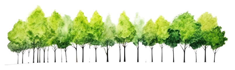 PNG Green trees nature panoramic outdoors.