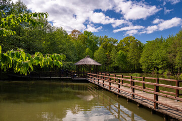 Forest Arboretum in Stradomia Dolna, Poland.