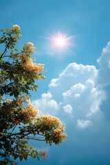 Obraz premium Sunny Sky with Blossoms and Clouds