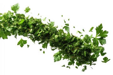 Obraz premium Dried parsley flakes flying on a white surface, isolatedChopped leaves of parsley seasoning floating on white