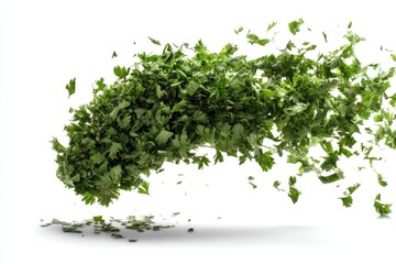 Obraz premium Chopped parsley flying with clipping path on white background