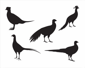 Elegant Pheasant Silhouettes A Collection of Bird Shape Art in Black and White Simple Clean Design