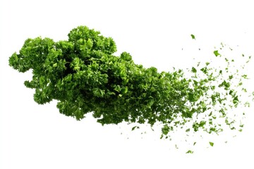 Obraz premium Green herbal parsley flakes floating in air, isolated backgroundChopped parsley seasoning flying freely, isolated on white backdrop
