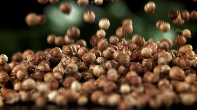 The coriander falls on the table. Filmed on a high-speed camera at 1000 fps. High quality FullHD footage