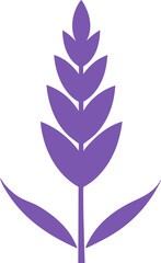 European Lavender icon Silhouette vector on transparent background