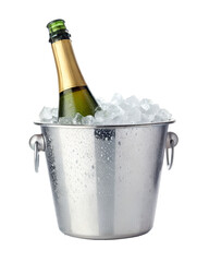 champagne bottle and bucket