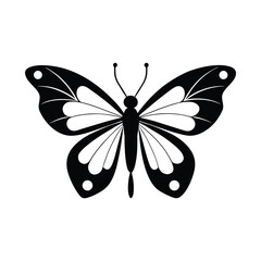 Abstract black silhouette butterfly on white background. Vector illustration