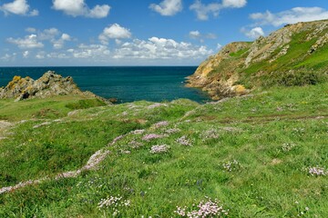 Le Pulec, Jersey, U.K. Beautiful natural Springtime landscape with wildflowers.