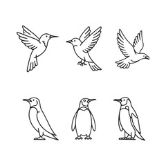 Obraz premium bird line art silhouette vector arts and design