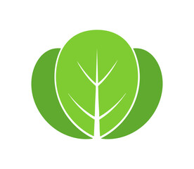 Sałata roślina eko ikona