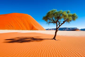 Selbstklebende Fototapeten A lone tree in the middle of a desert with a large orange dune in the background © Digi