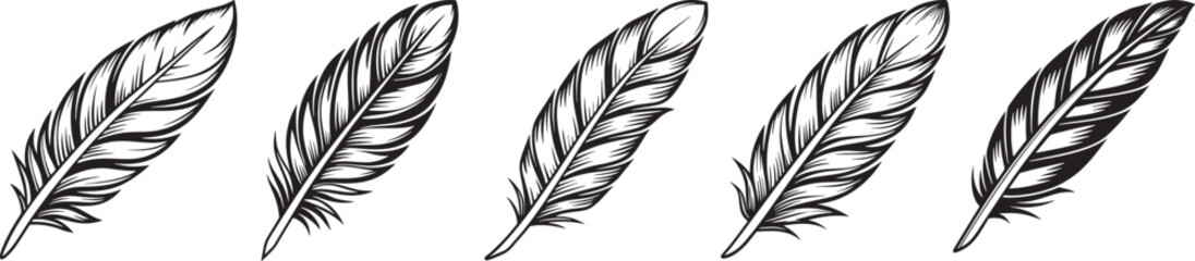 Obraz premium Set of Hand-Drawn Vector Feathers in Black Ink